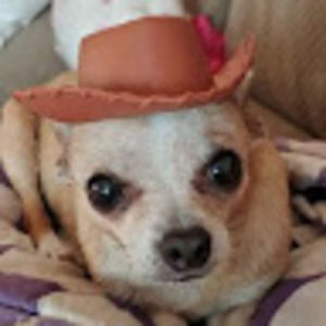 Meet your Posher, Lynne